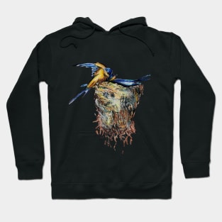 Barn Swallows Hoodie